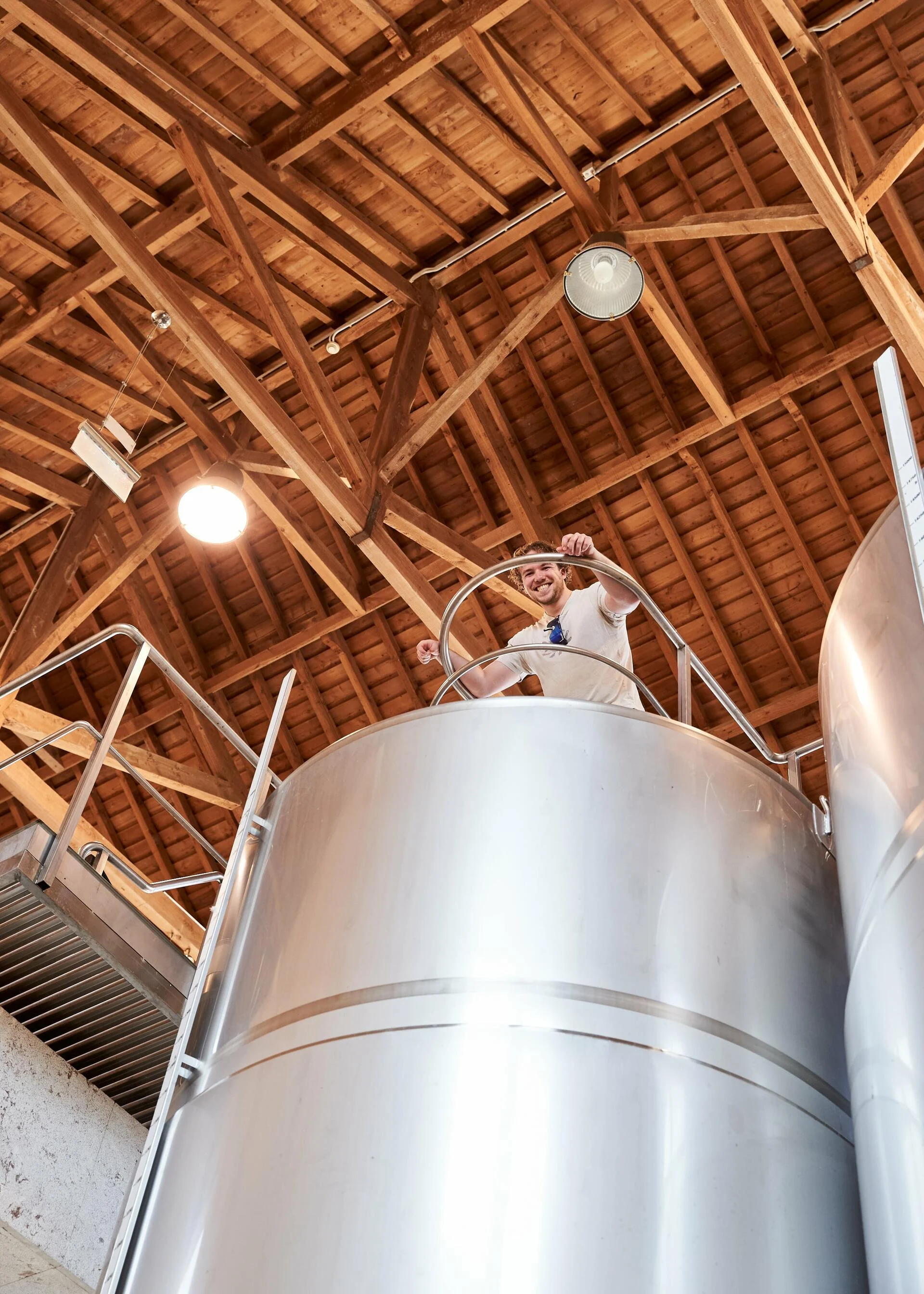 ODE Winery – Atividade de Vindima