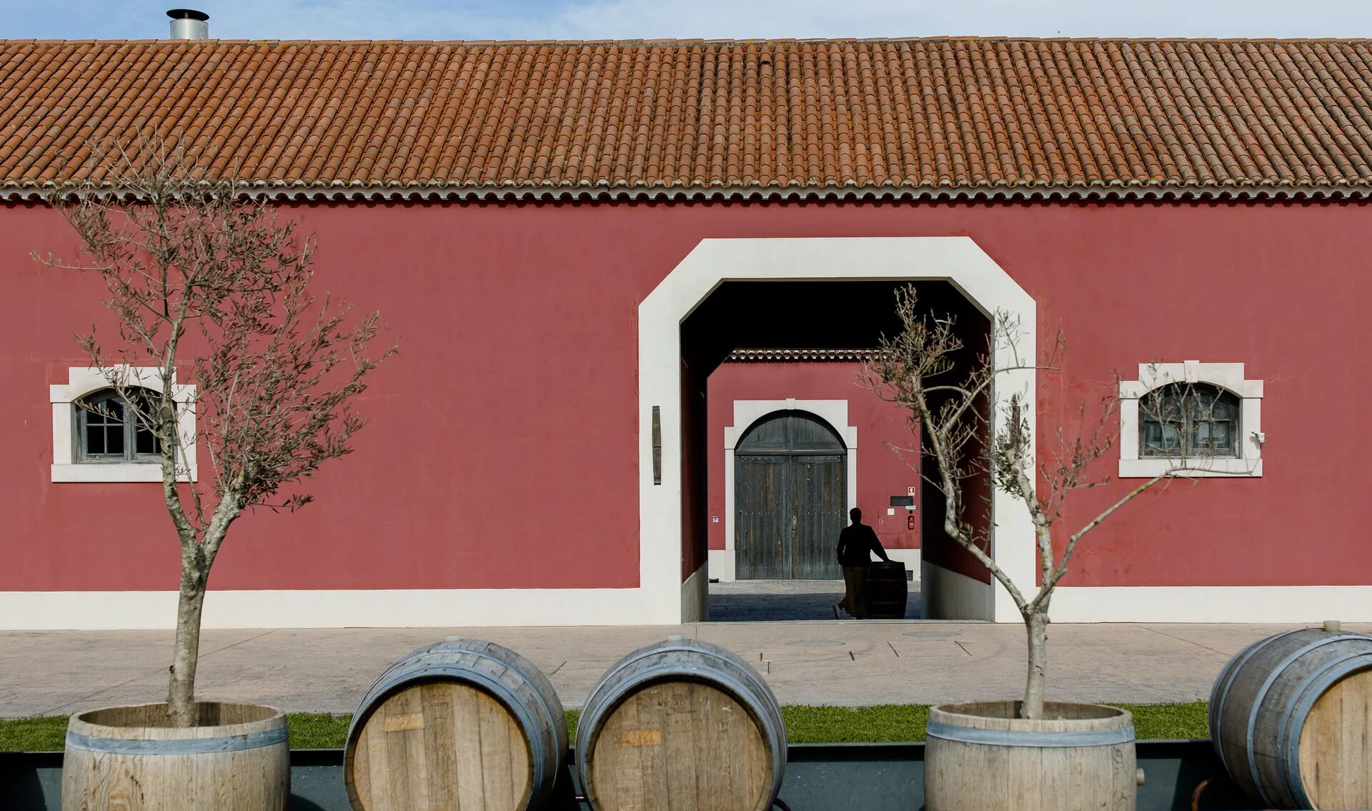 ODE Winery – Atividade de Vindima