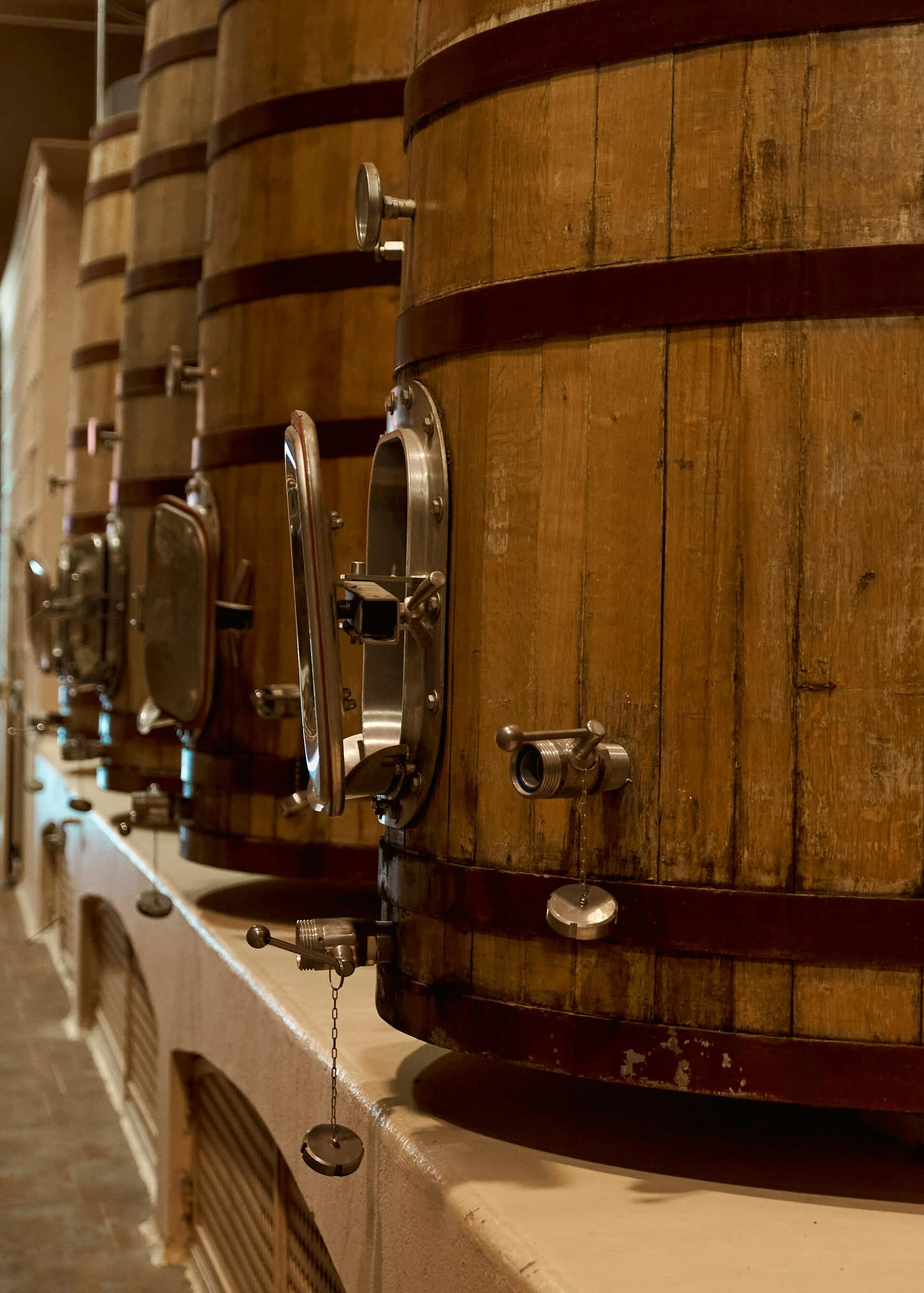 ODE Winery – Atividade de Vindima