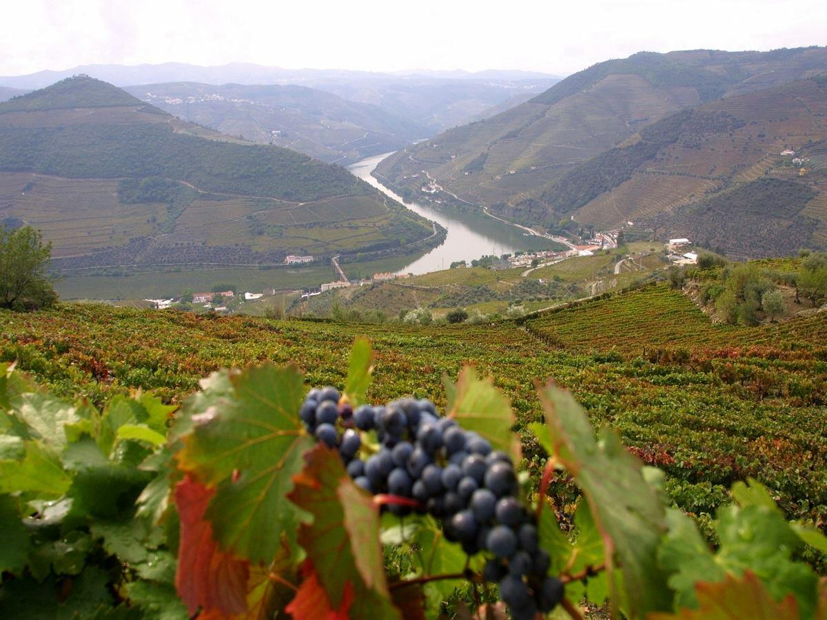 Segredos do Douro & Tâmega – 3 Dias
