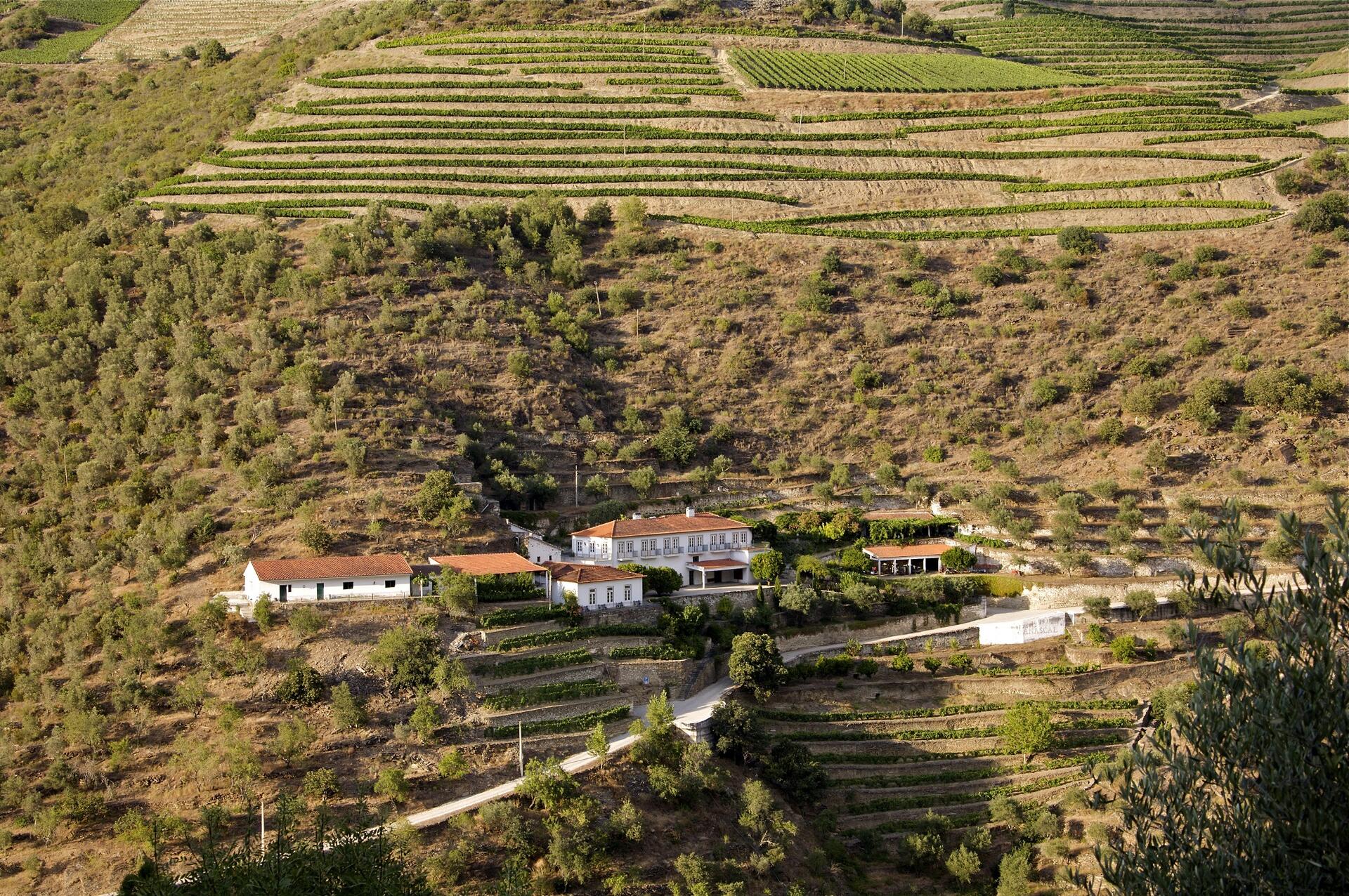 Quinta do Panascal – Visita & Prova Signature