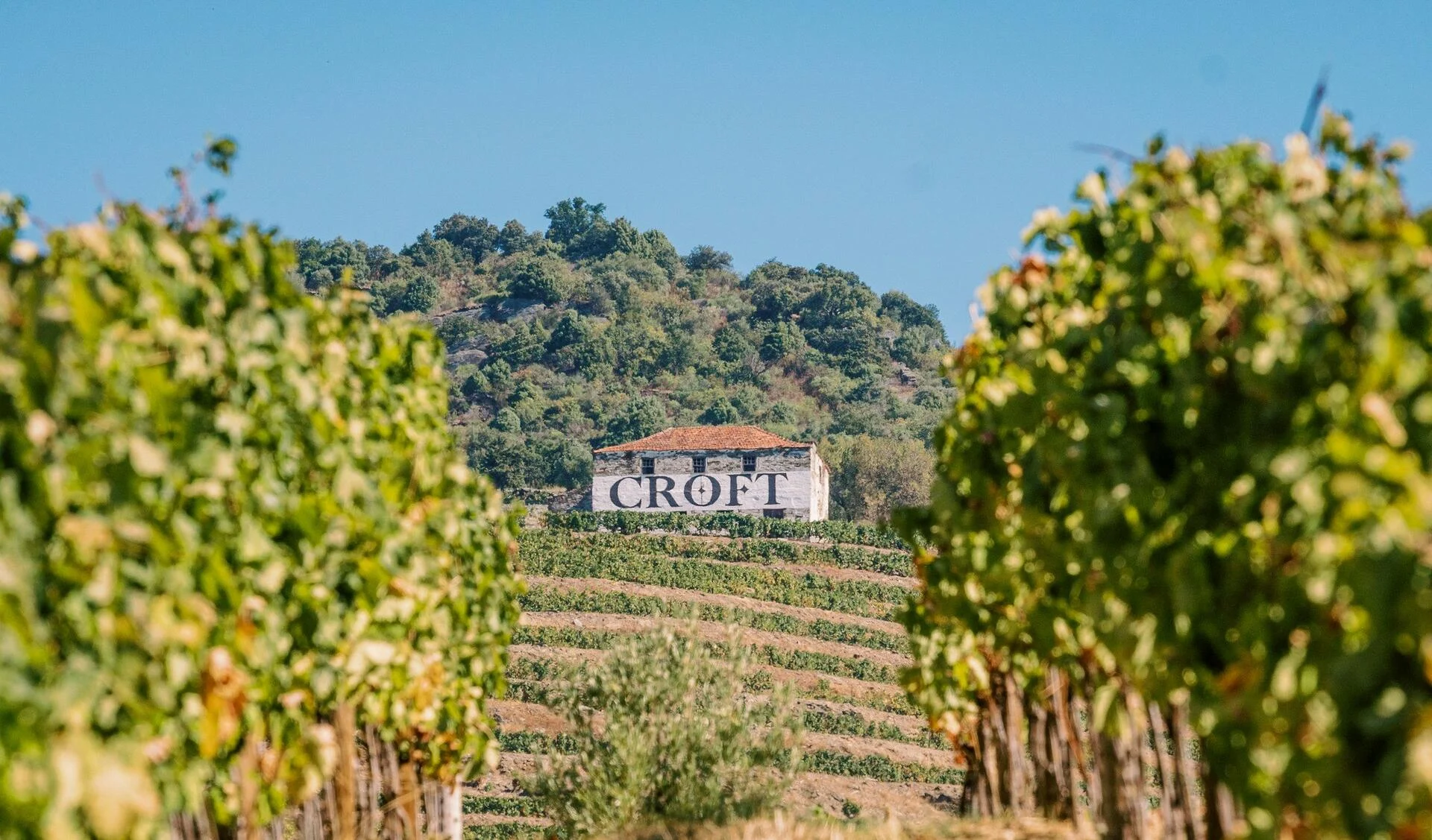 Quinta da Roêda – Visita & Prova Vintage