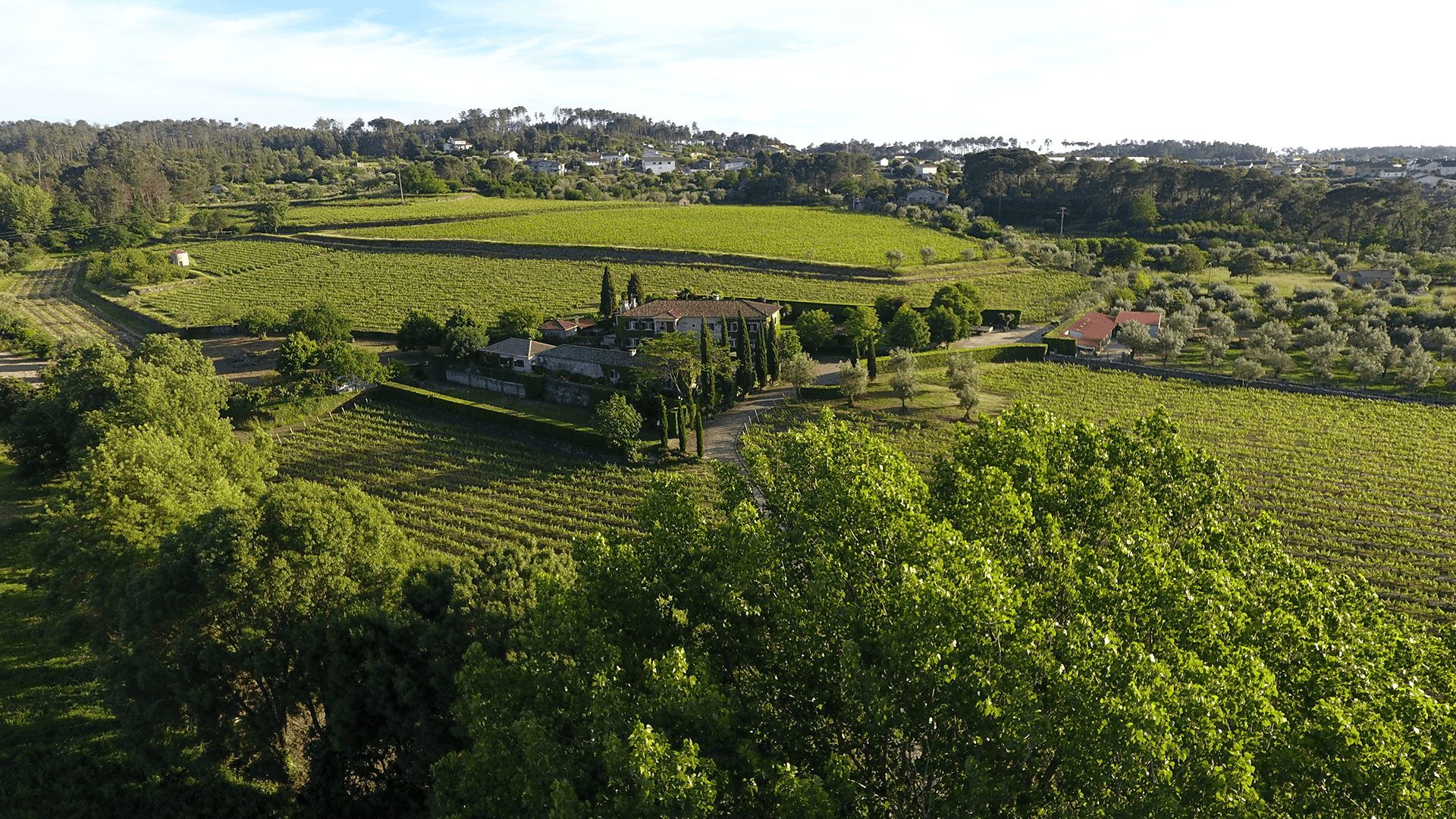 Soito Wines – Piquenique Regional