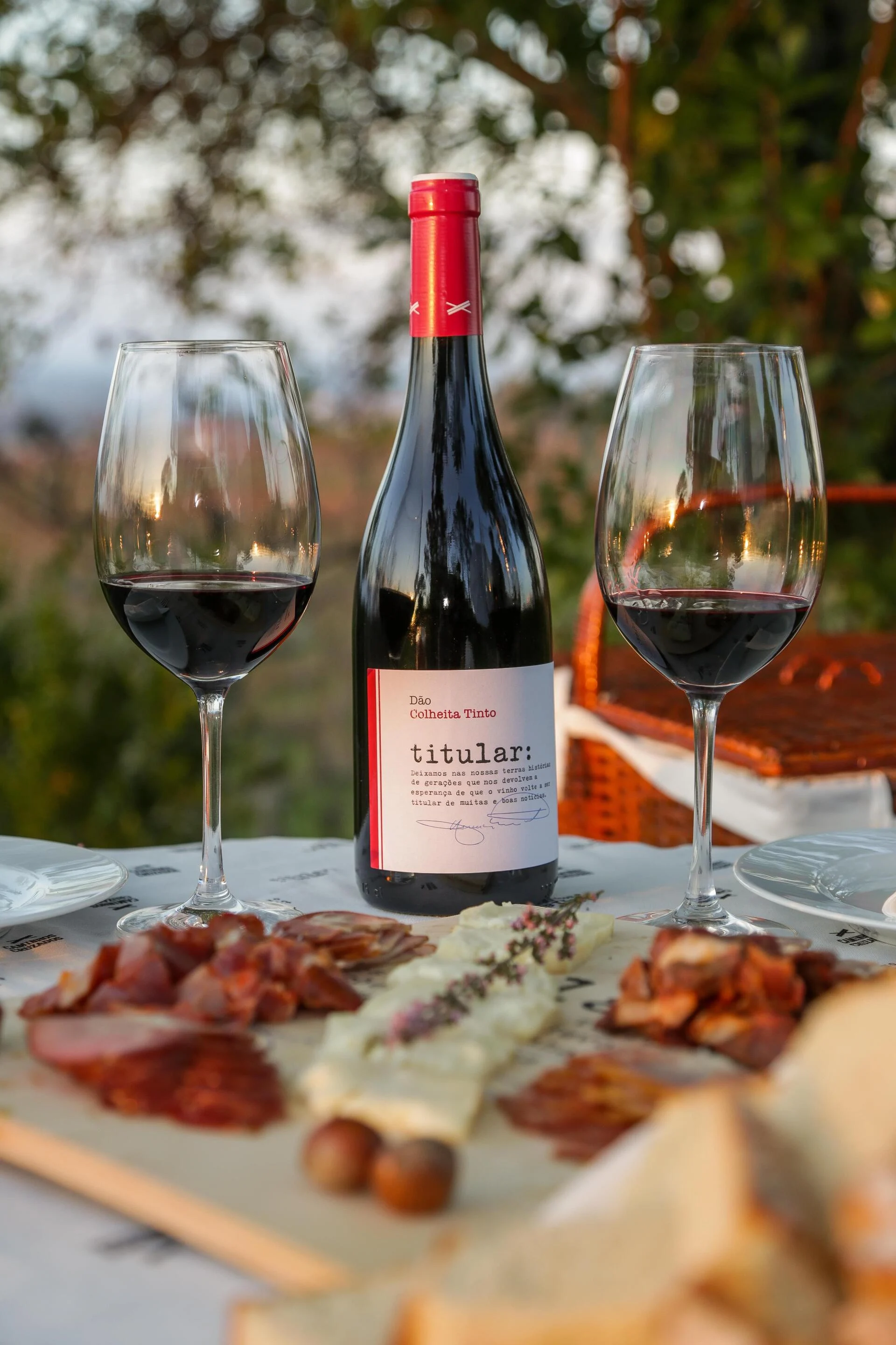 Caminhos Cruzados – Piquenique na Vinha