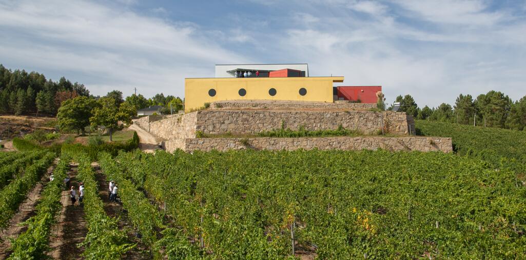 Quinta de Santa Cristina – Programa de Vindimas