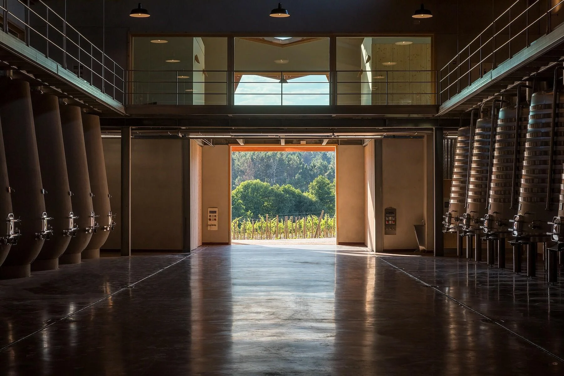 Taboadella – Visita & Prova Douro & Dão