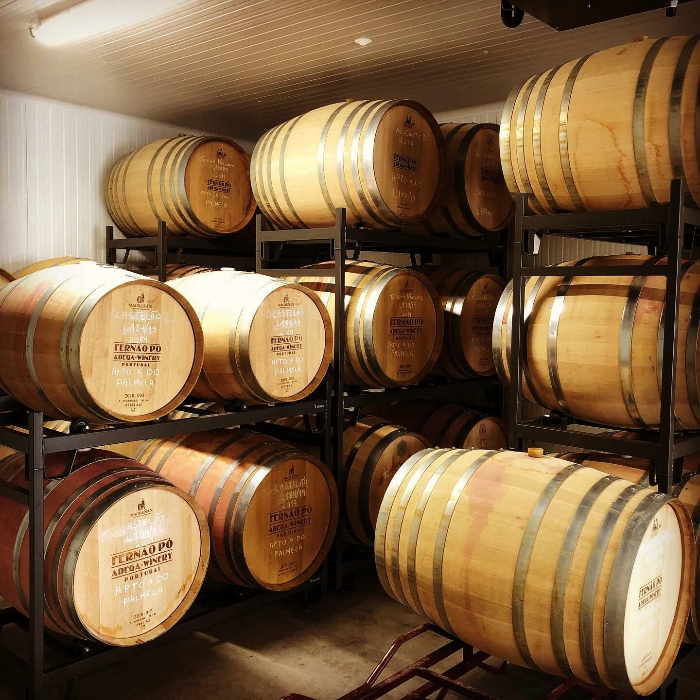 Fernão Pó – Prova de Vinhos com o Enólogo