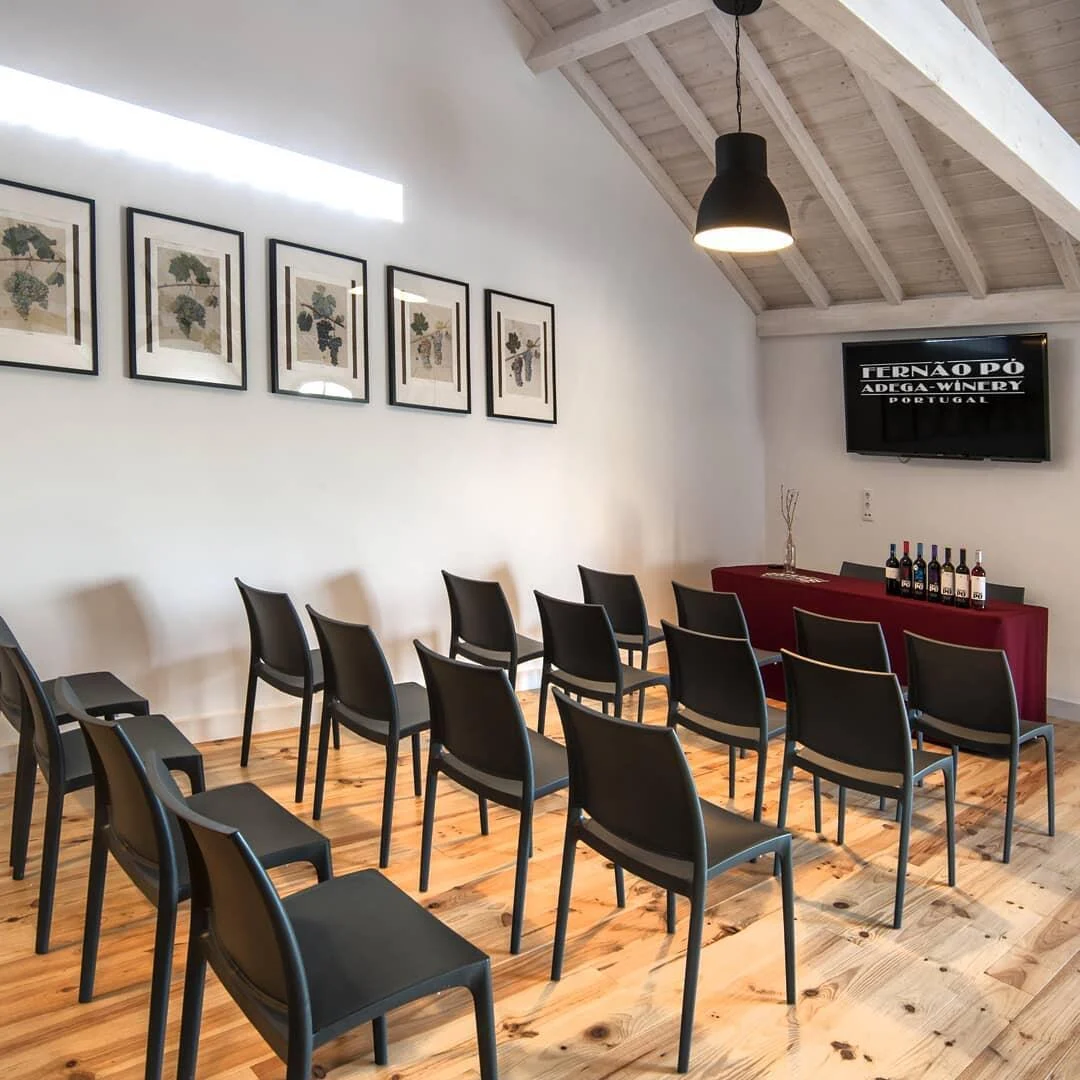 Fernão Pó – Prova de Vinhos com o Enólogo