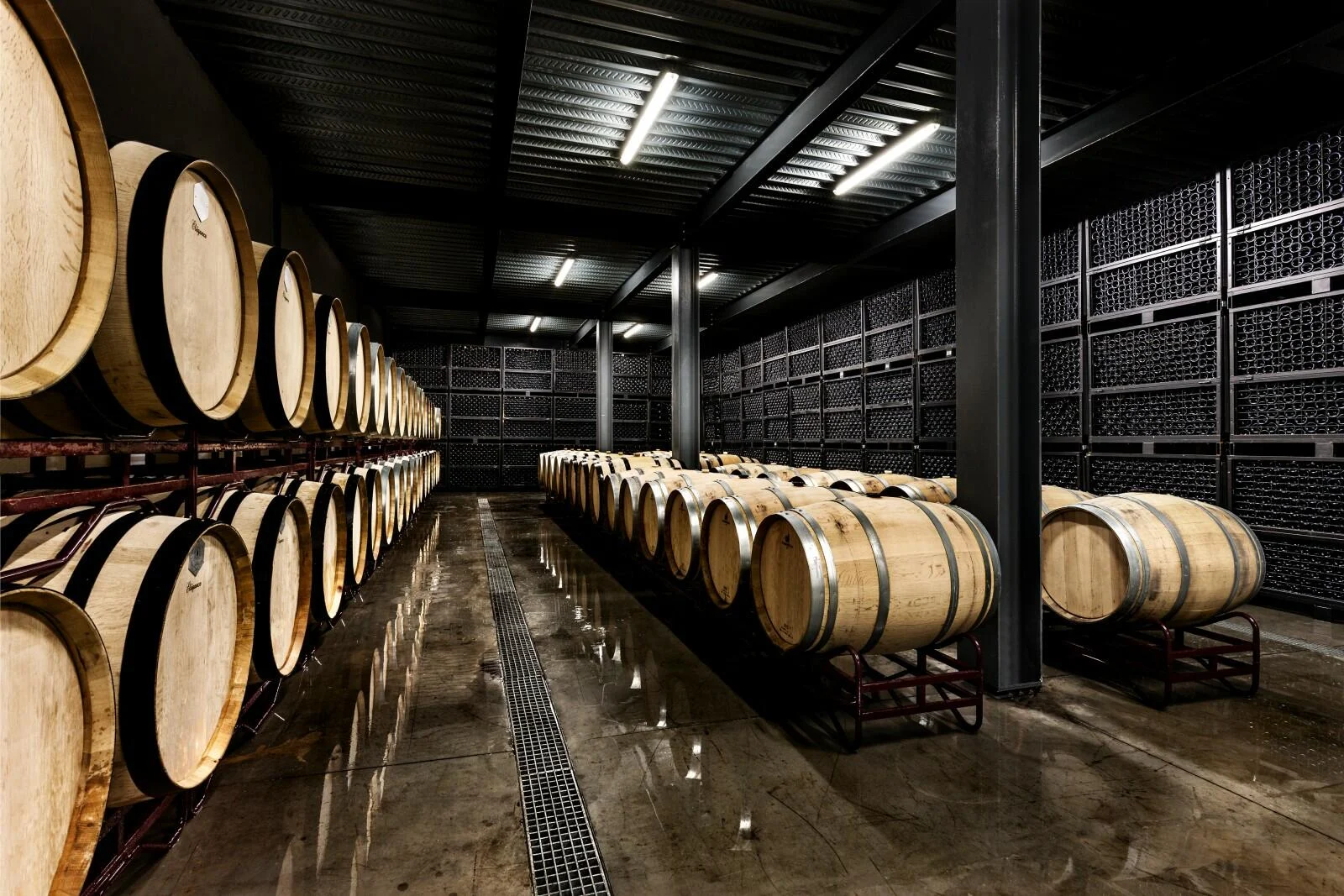 Ribafreixo Wines – Visita, Prova & Almoço