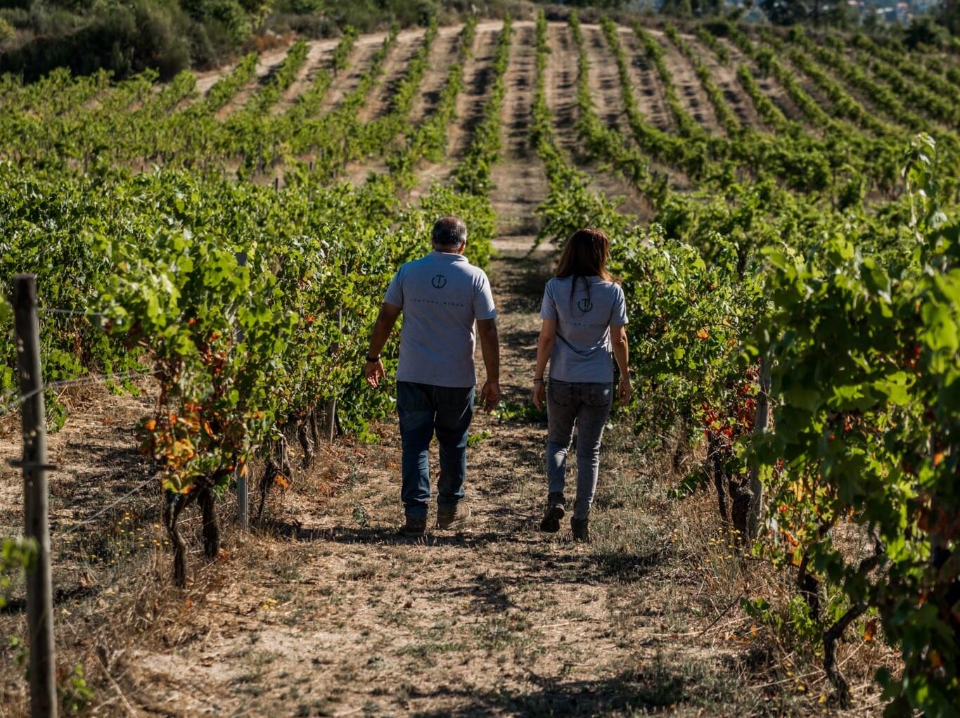 Textura Wines – Visita & Prova Terroir