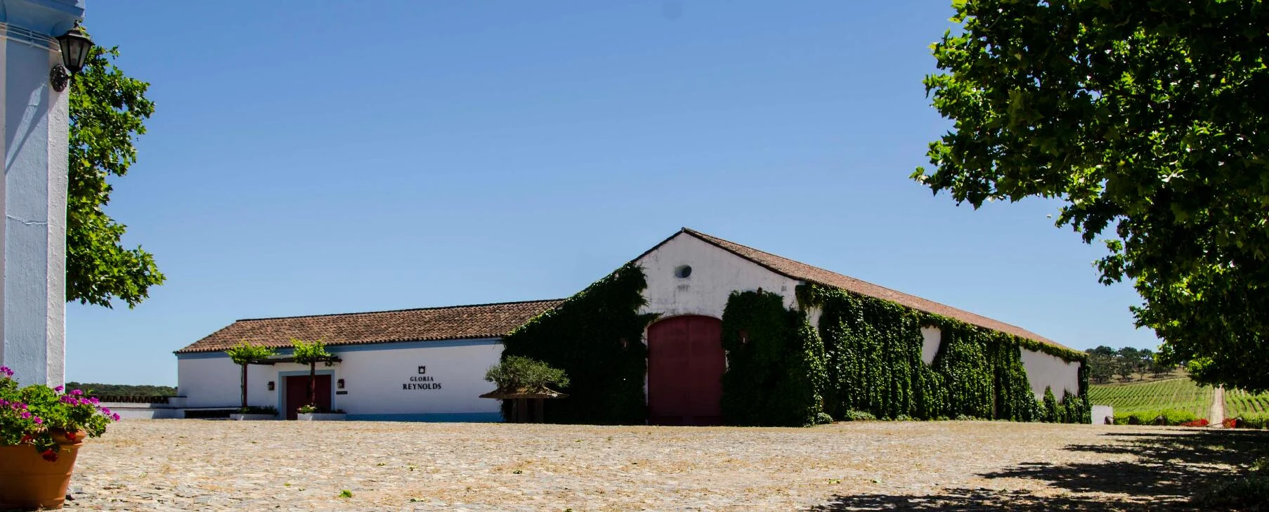 Reynolds Wine Growers – Signature Experience