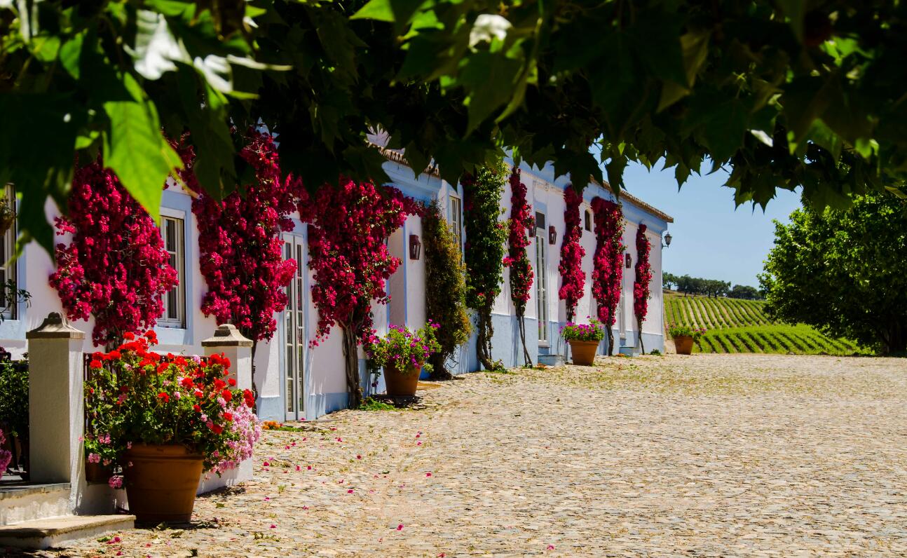 Reynolds Wine Growers – Signature Experience