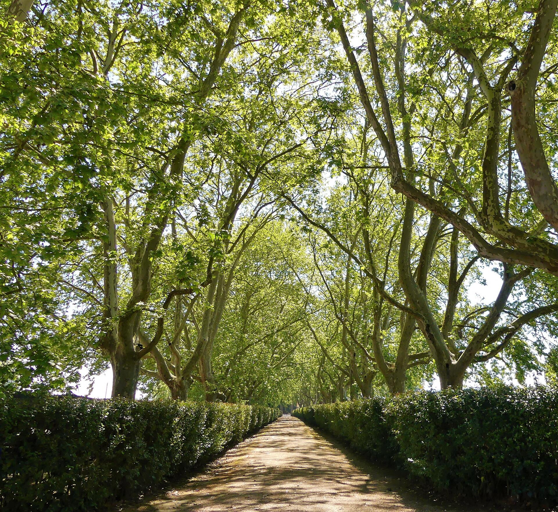 Quinta da Alorna – Prova 3 Reservas