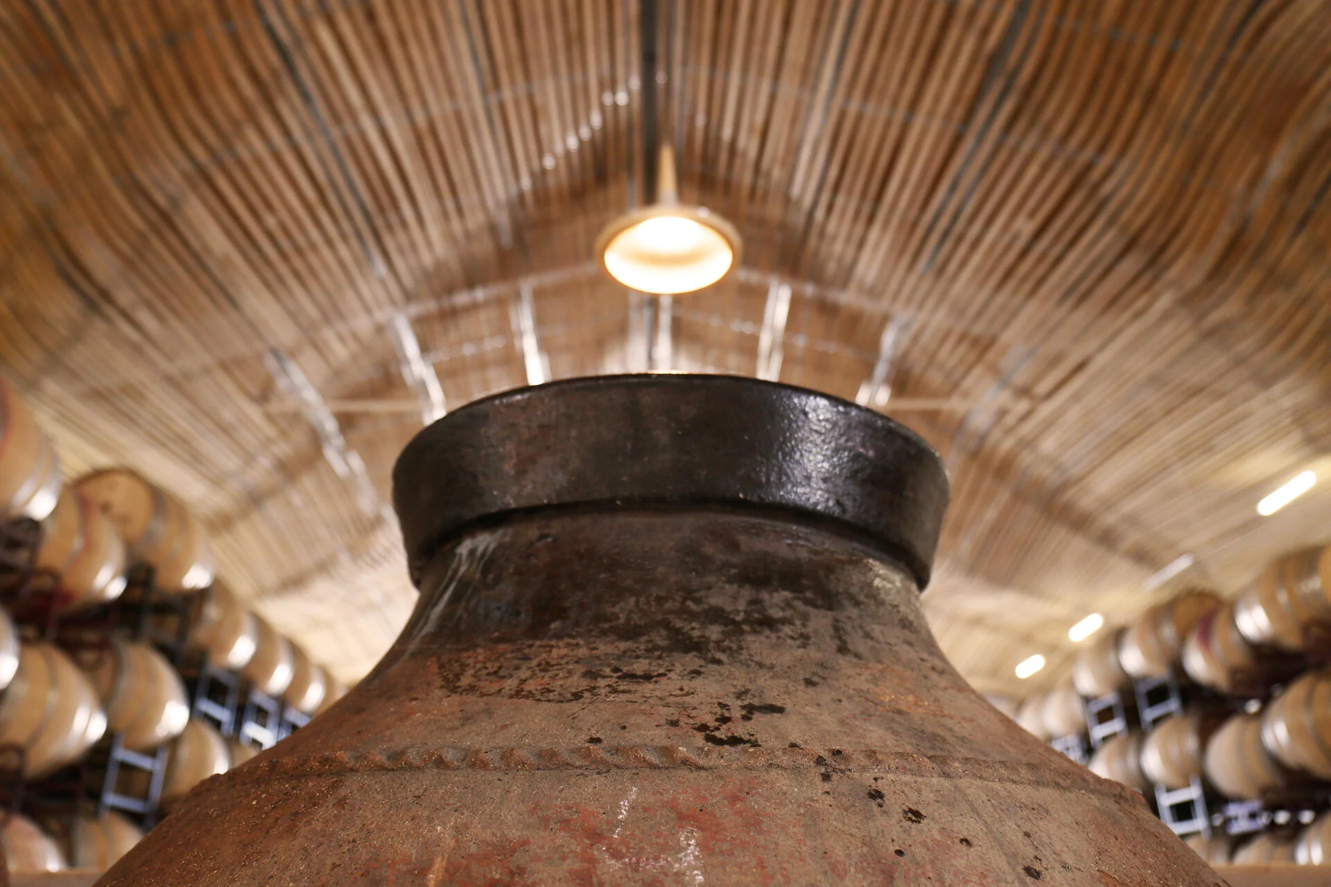 Herdade do Esporão – Visita & Prova de Vinhos