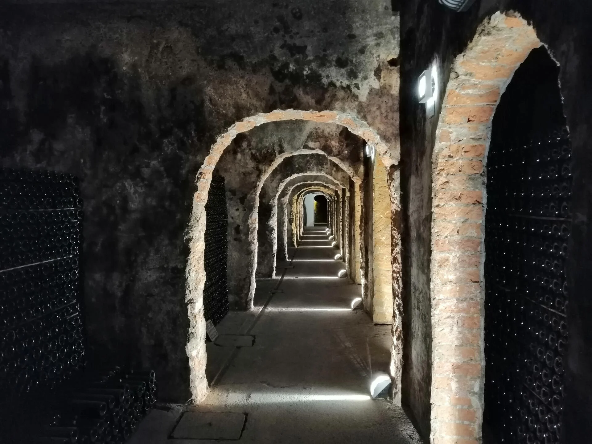 Bike Tour pelos Vinhedos da Rota da Bairrada