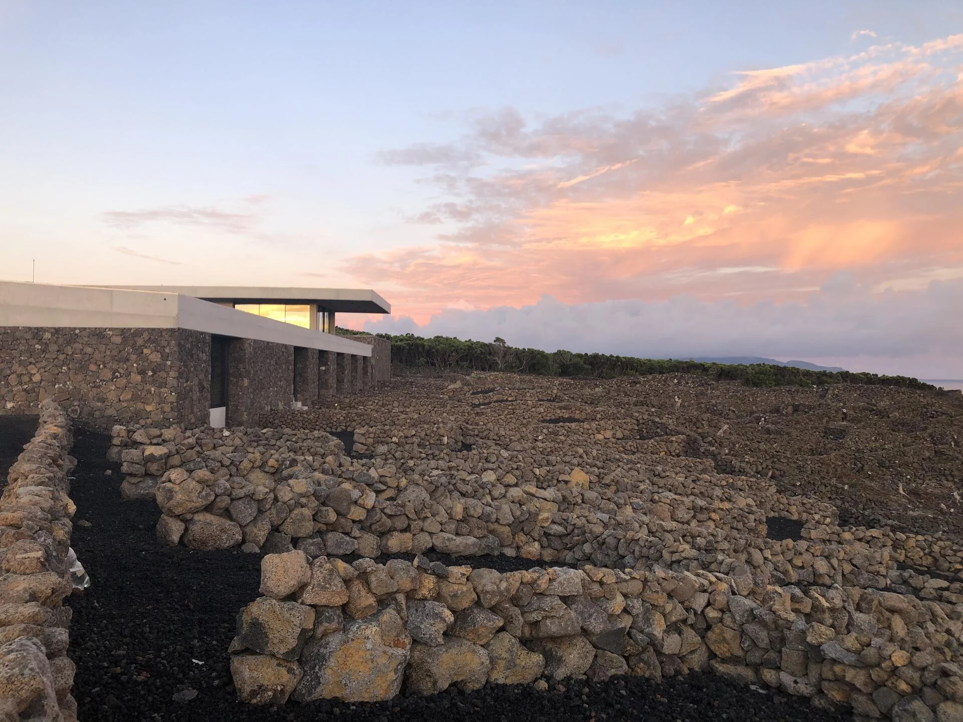 Azores Wine Company – Diner on the Counter