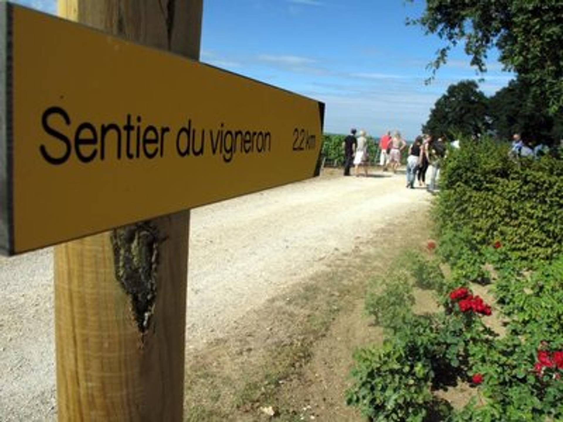 LE SENTIER DU VIGNERON