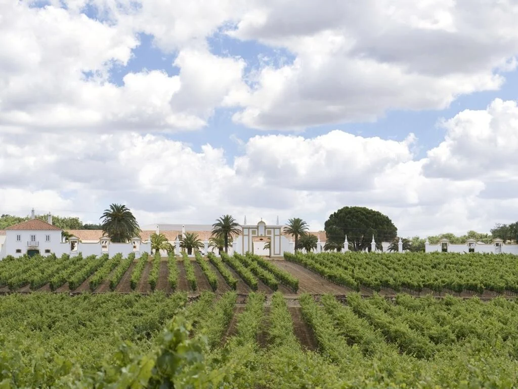 Quinta do Carmo – Visita & Prova Standard