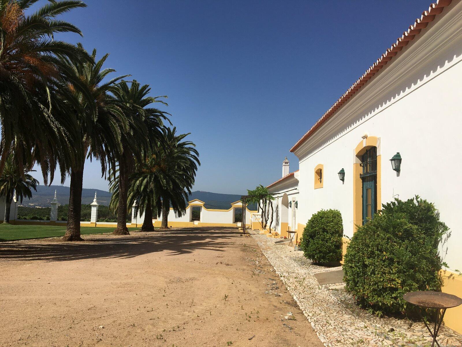 Quinta do Carmo – Visita & Prova Standard