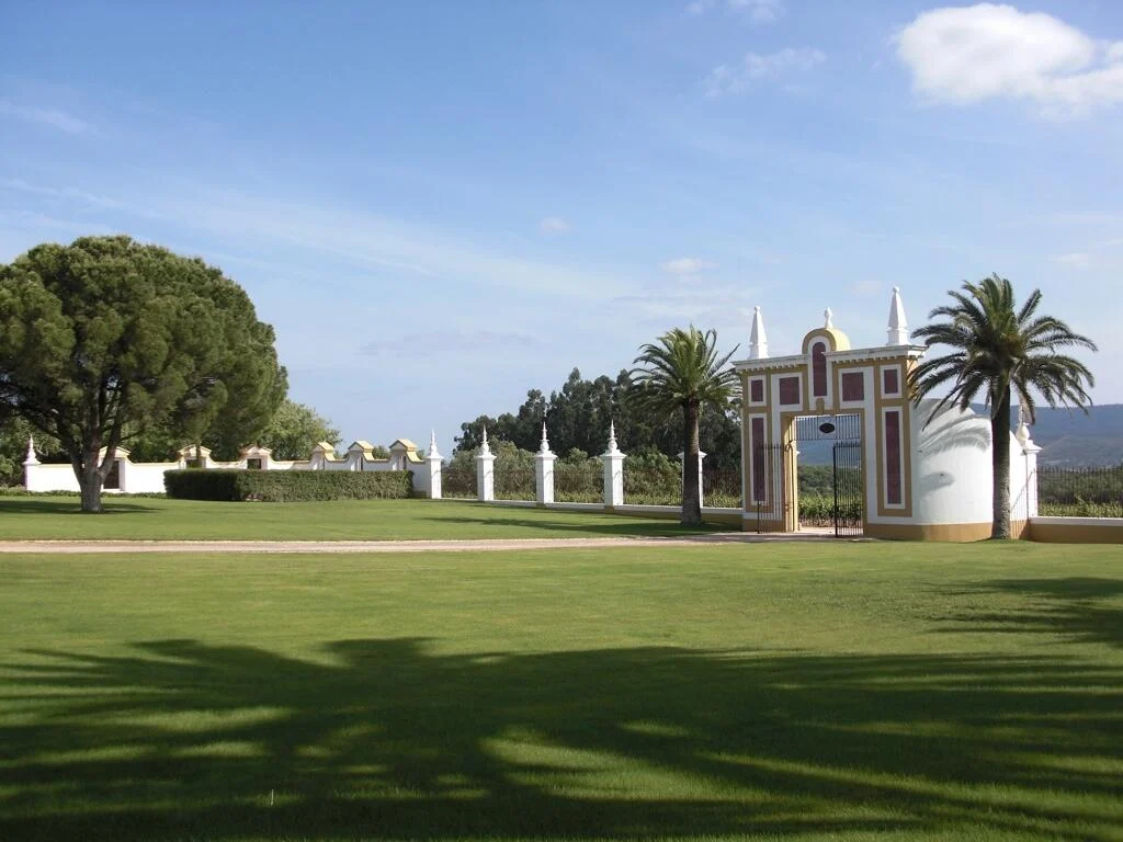 Quinta do Carmo – Visita & Prova Standard