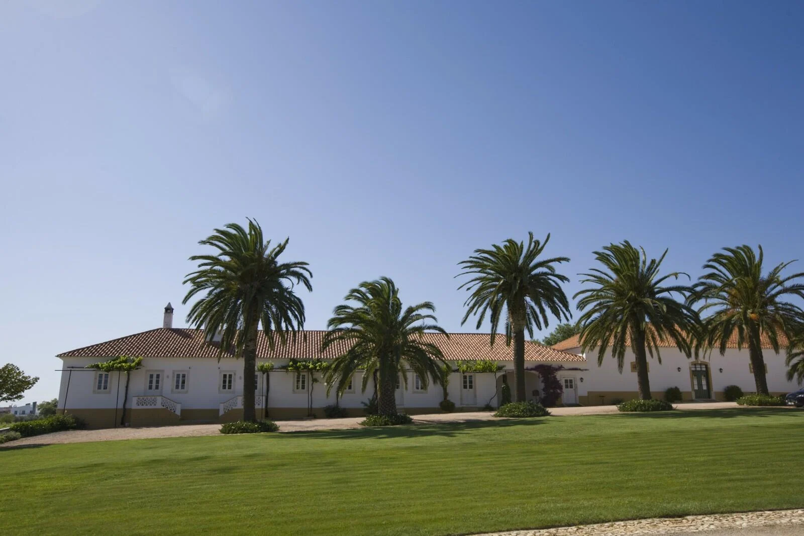 Quinta do Carmo – Visita & Prova Premium