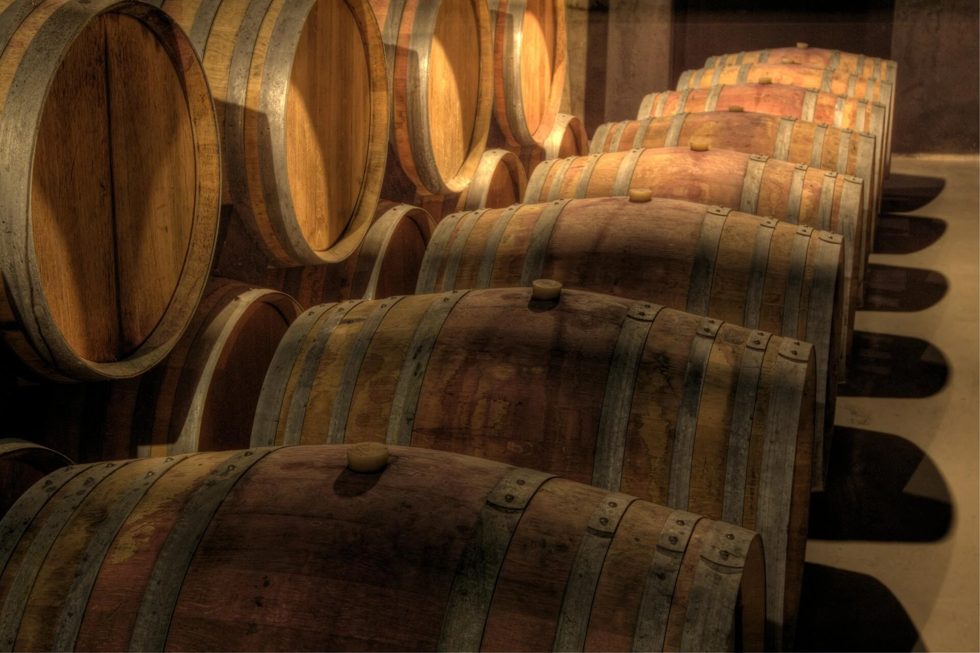 Quinta do Carmo – Visita & Prova Premium