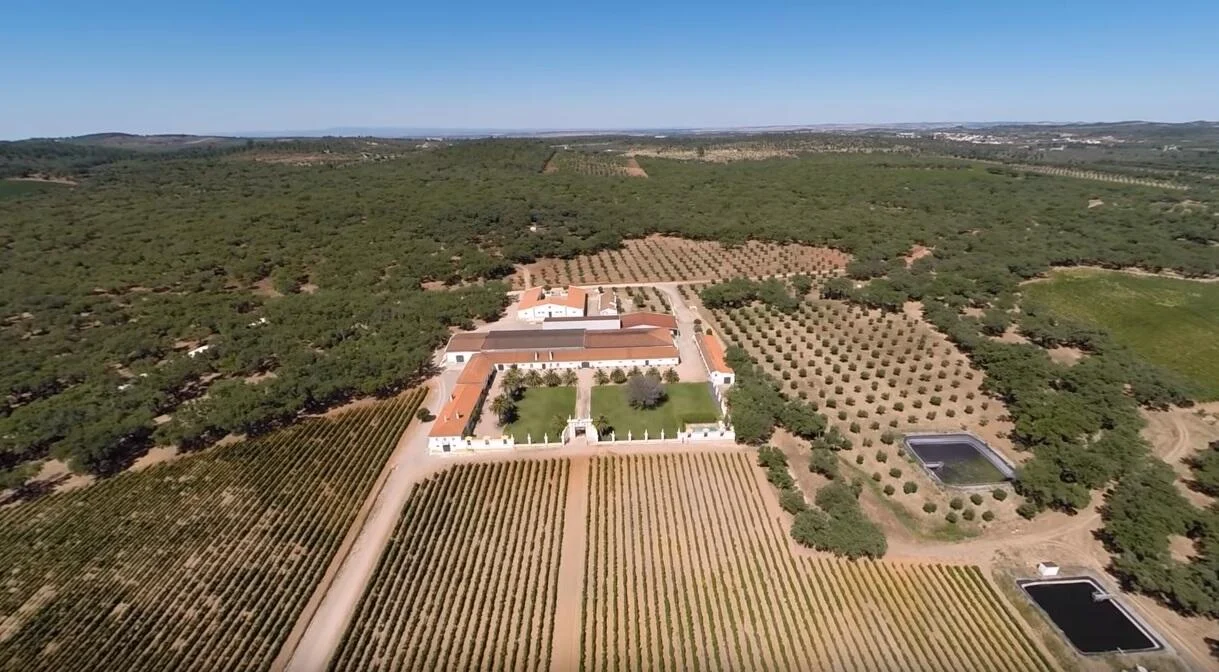 Quinta do Carmo – Visita & Prova Premium