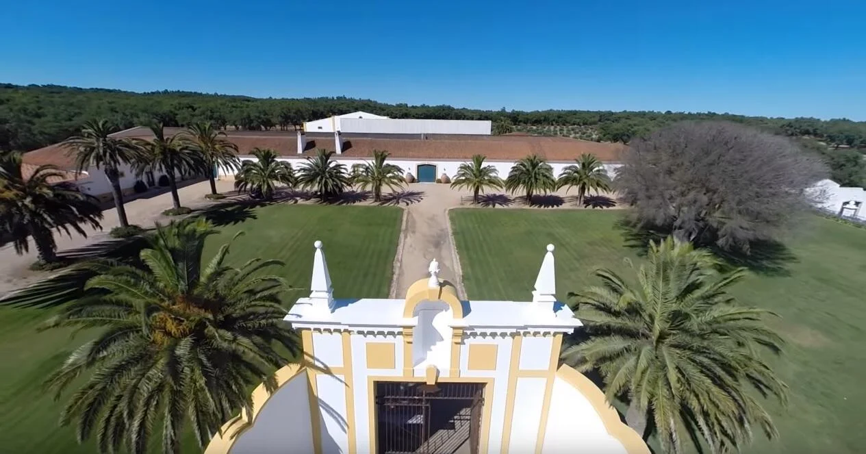 Quinta do Carmo – Visita & Prova Premium