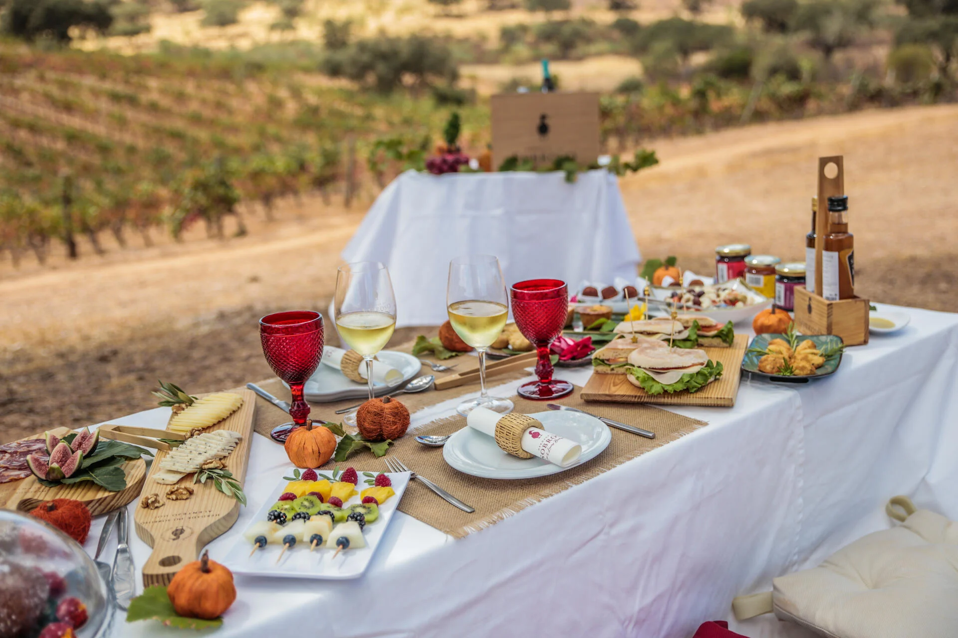 Herdade do Sobroso – Piquenique nas Vinhas