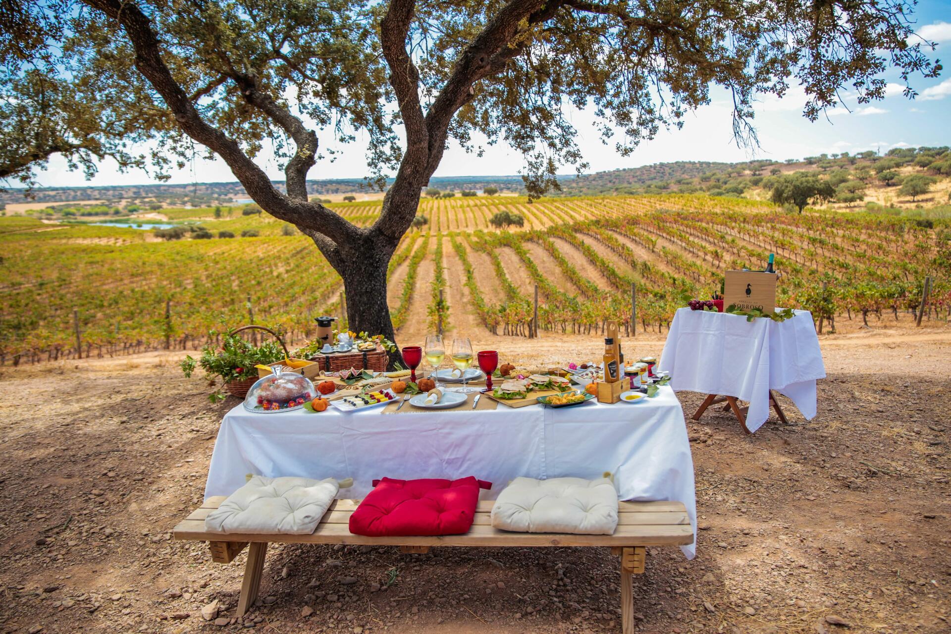 Herdade do Sobroso – Piquenique nas Vinhas