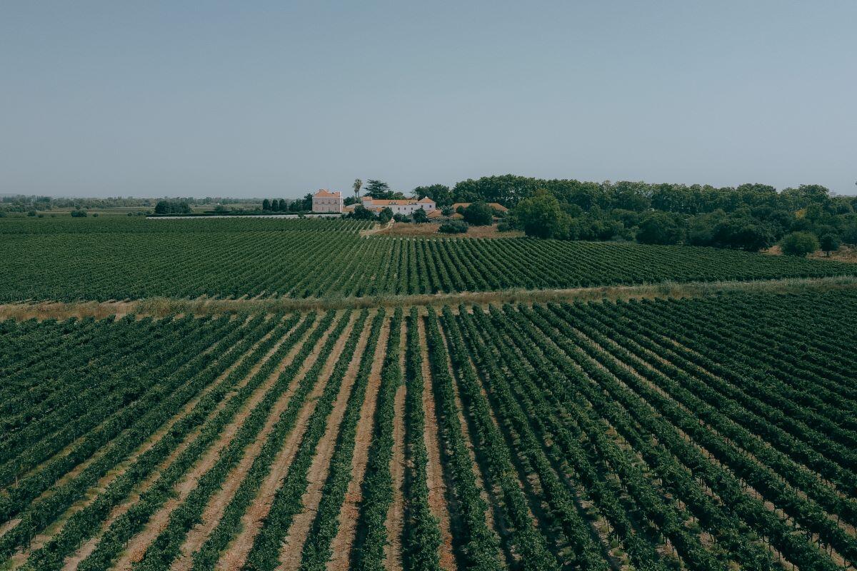 Quinta da Alorna – Prova 3 Reservas