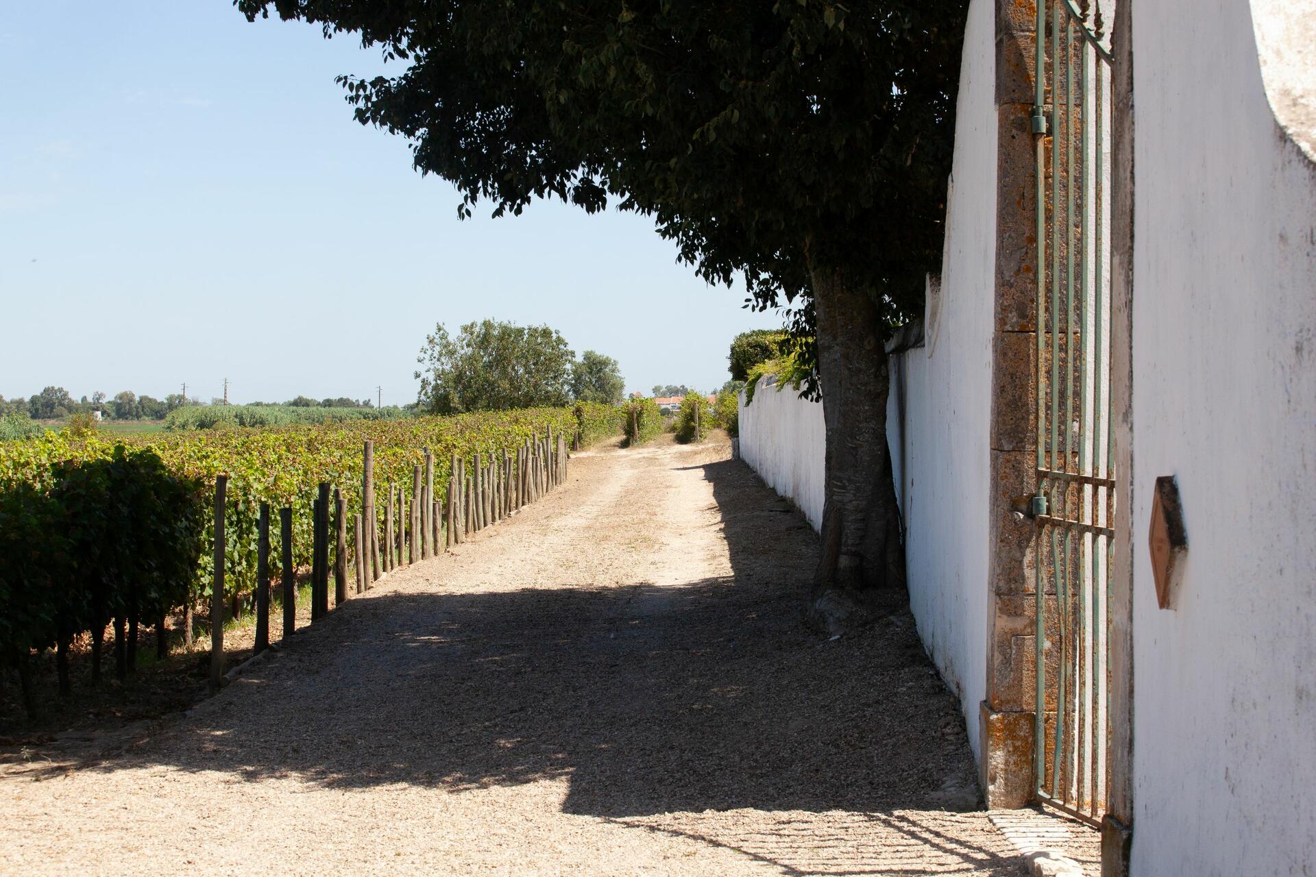Quinta da Alorna – Prova 3 Reservas