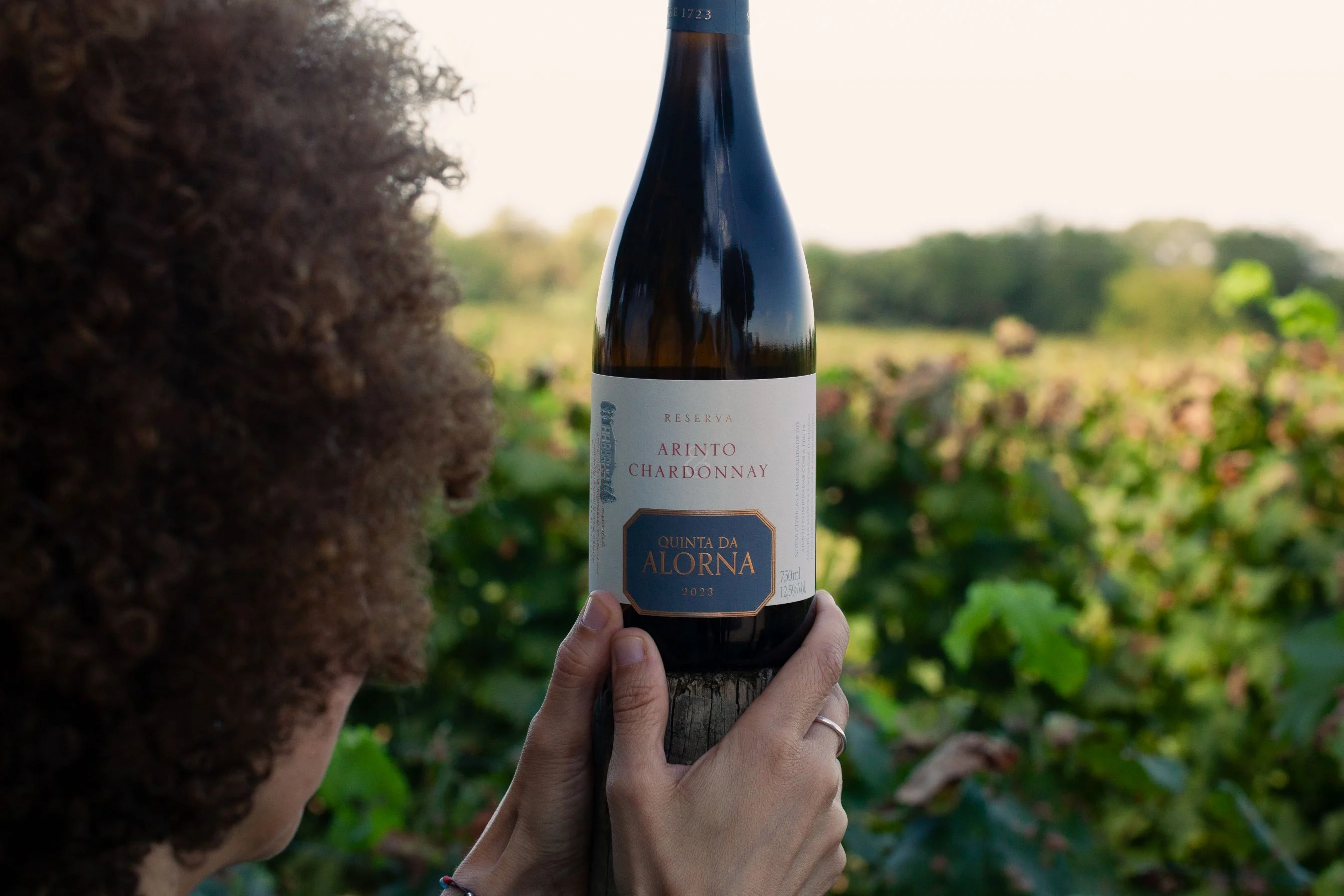 Quinta da Alorna – Prova 3 Reservas