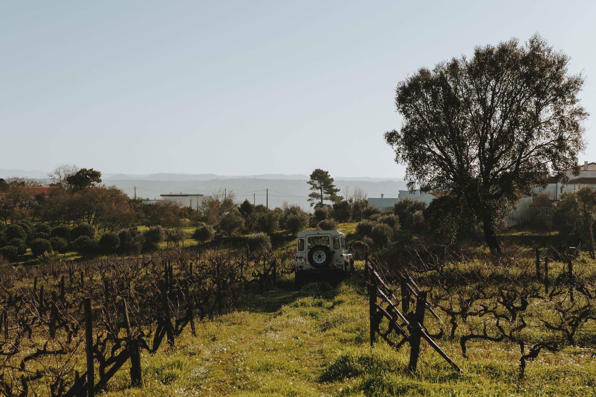 Adega da Gaveta – Sabores & Sensações