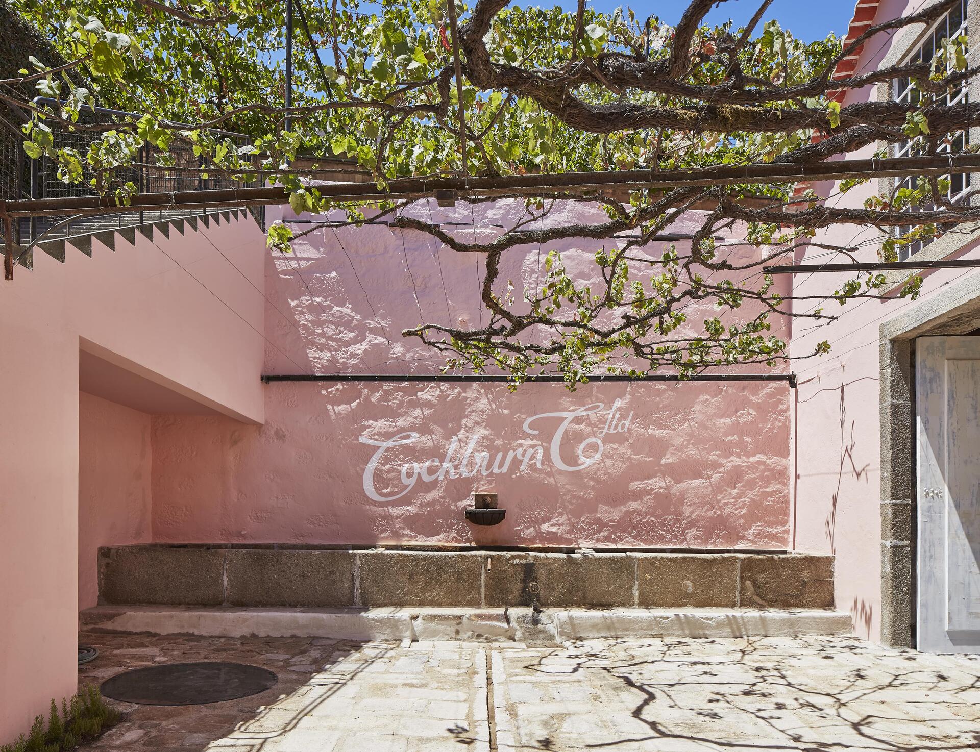 Caves Cockburn’s – Prova Premium Harmonizada