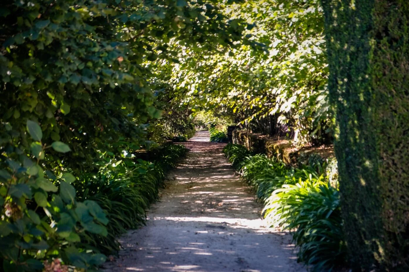 Palácio Condes de Anadia – Prova de Vinhos