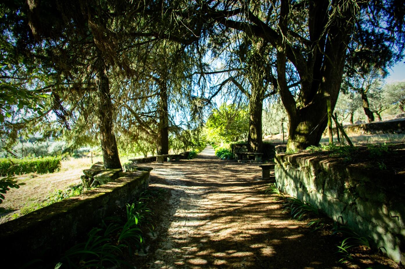 Palácio Condes de Anadia – Visita Palácio & Prova