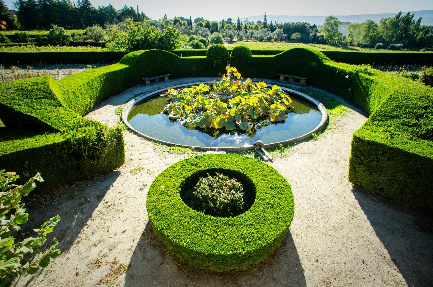 Palácio Condes de Anadia – Visita Palácio & Prova