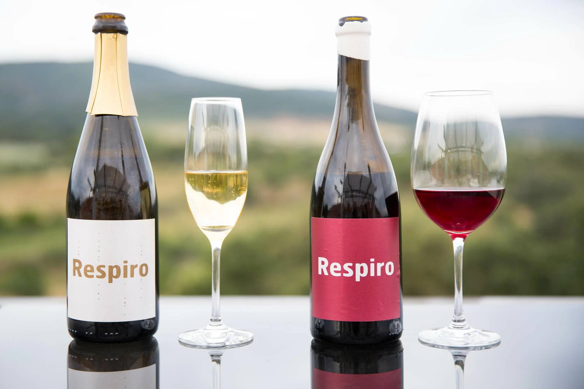 Cabecas do Reguengo – Visita & Prova Respiro