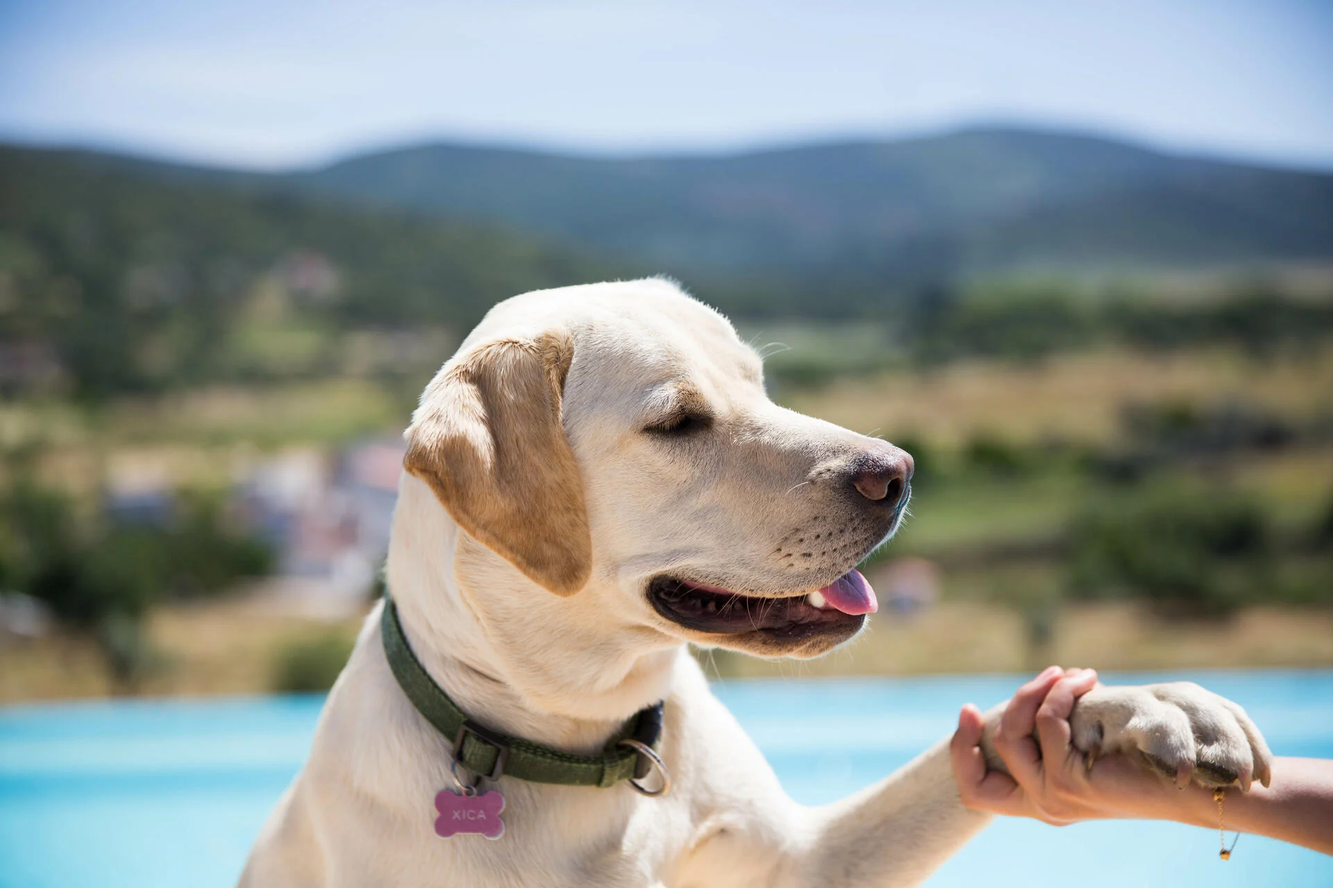 Cabecas do Reguengo – Visita & Prova Respiro