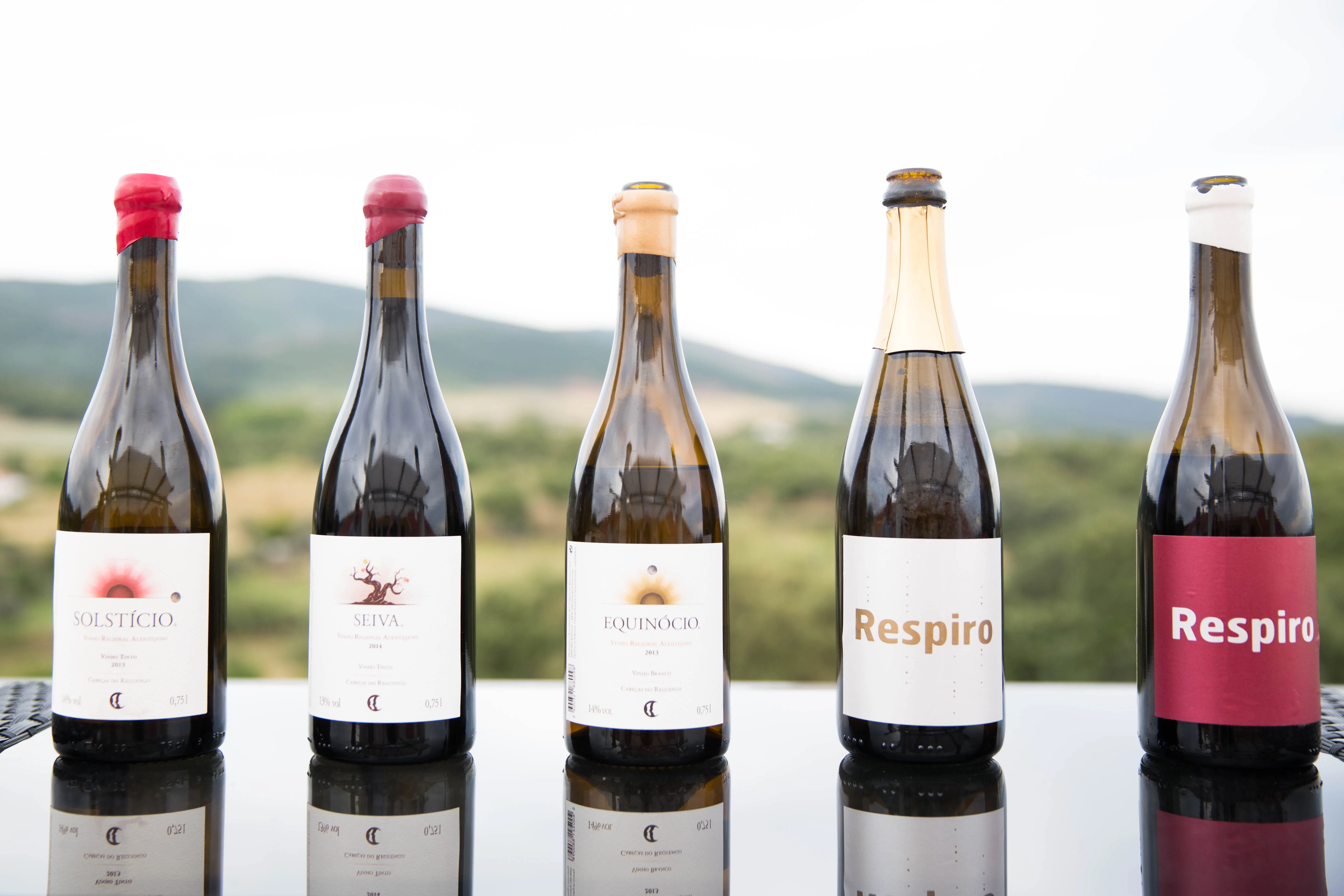 Cabecas do Reguengo – Visita & Prova Reguengo