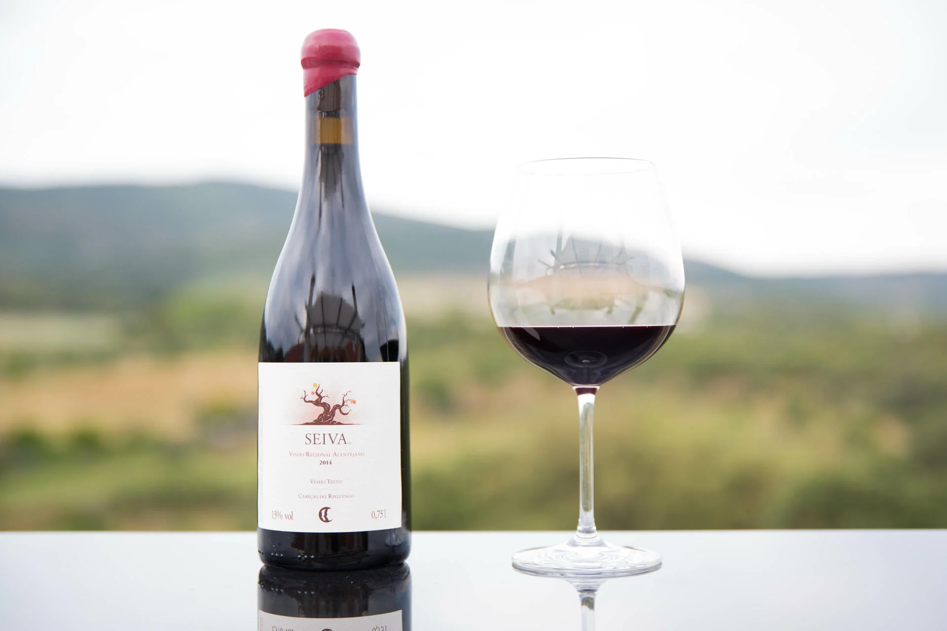 Cabecas do Reguengo – Visita & Prova Reguengo