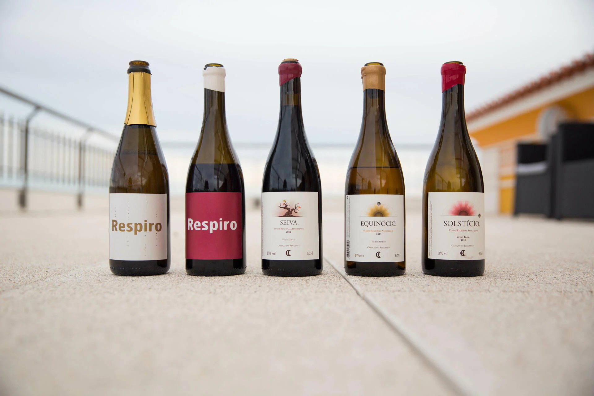 Cabecas do Reguengo – Visita & Prova Reguengo