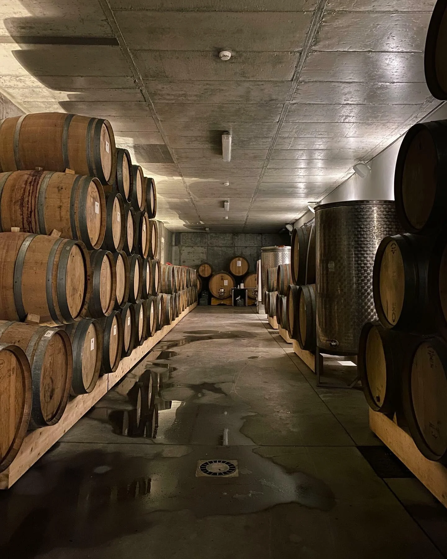 Cabecas do Reguengo – Visita & Prova Reguengo