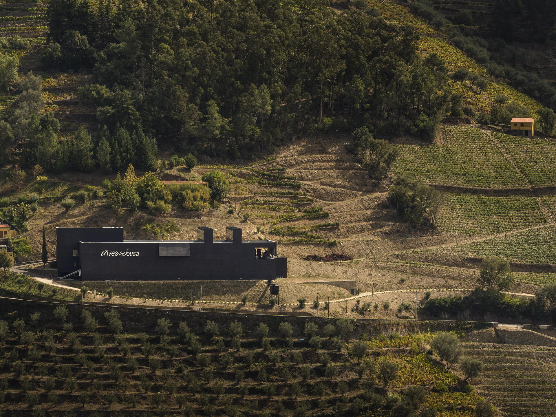 Alves de Sousa – Visita & Prova Premium