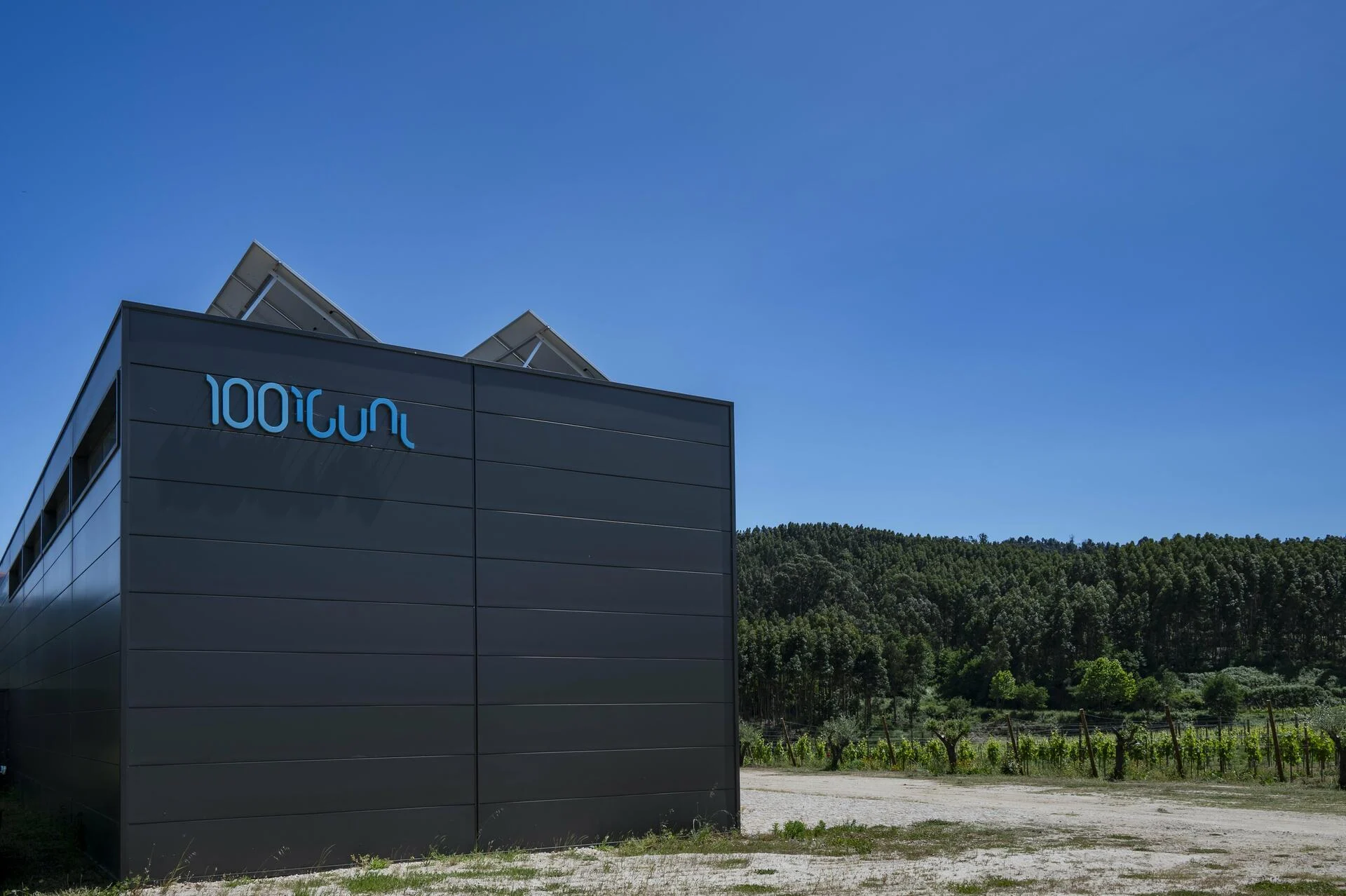 Sem Igual – Visita & Prova de 8 Vinhos