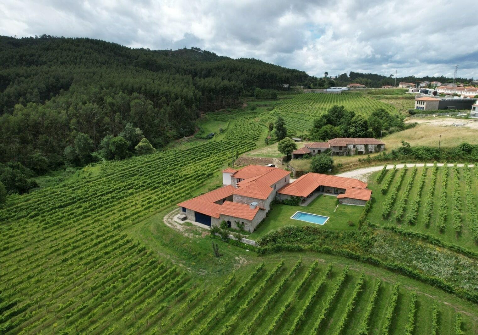 Sem Igual – Visita & Prova de 5 Vinhos