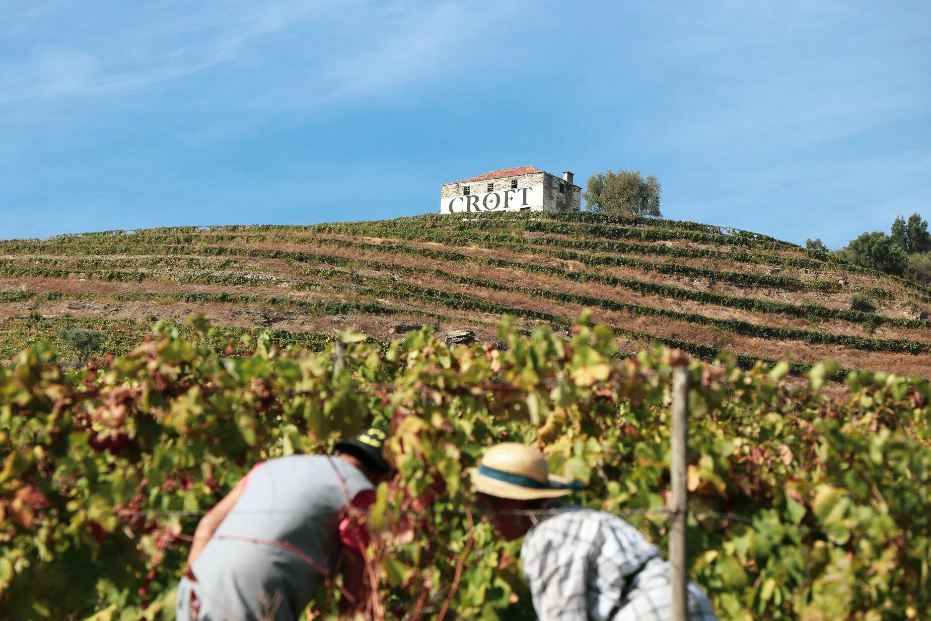 Quinta da Roêda – Visita & Prova Croft