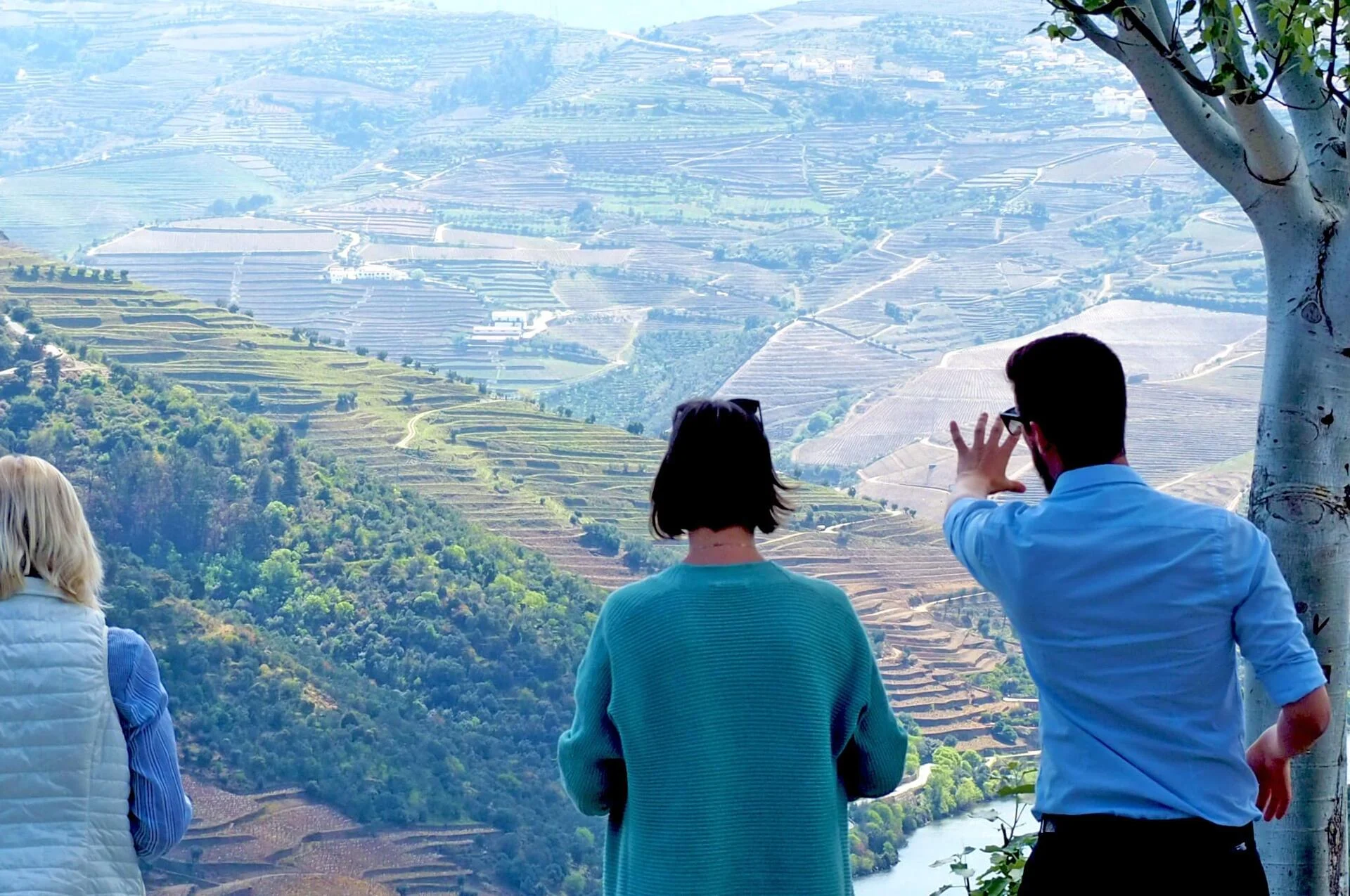 Douro Valley Wine Tour – Wine Venture & Boat Trip