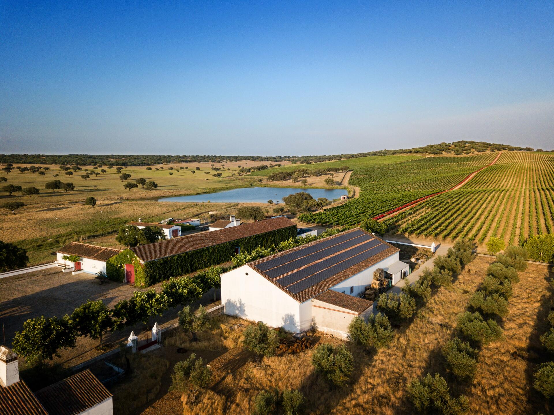 Reynolds Wine Growers – Visita & Prova Clássica